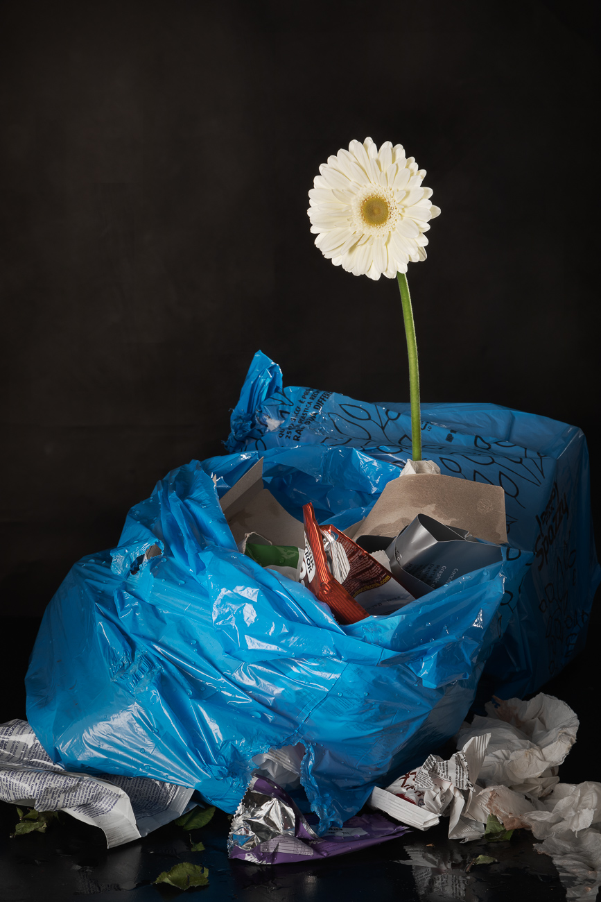 Donato Quarta - Il tabù della spazzatura