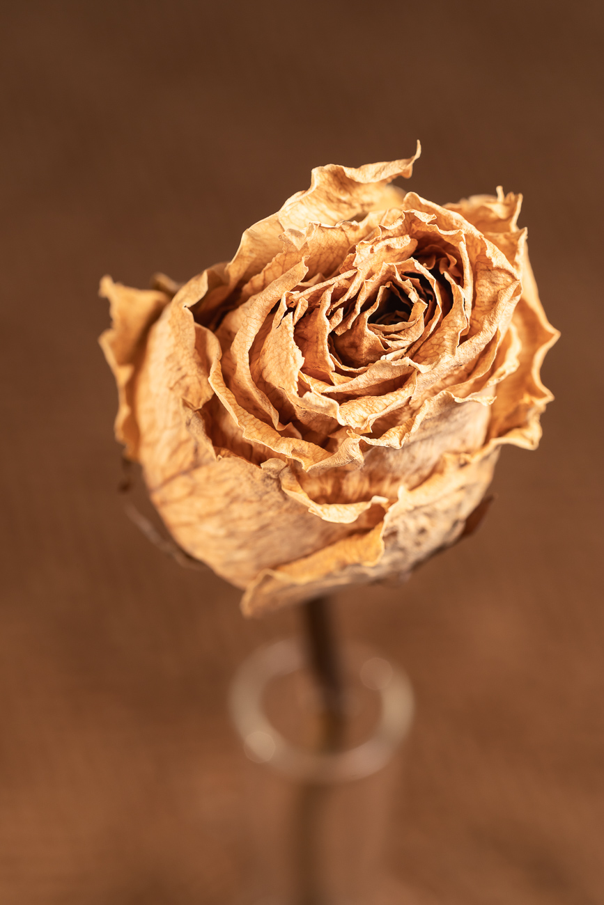 Donato Quarta - Il tabù della morte